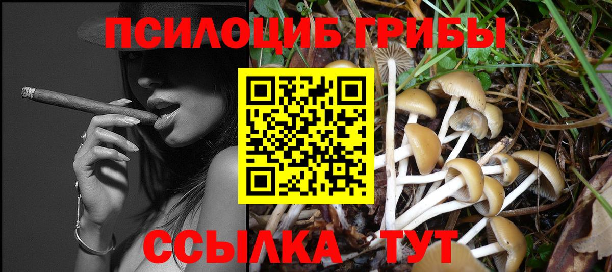 Псилоцибиновые грибы мицелий Карпинск