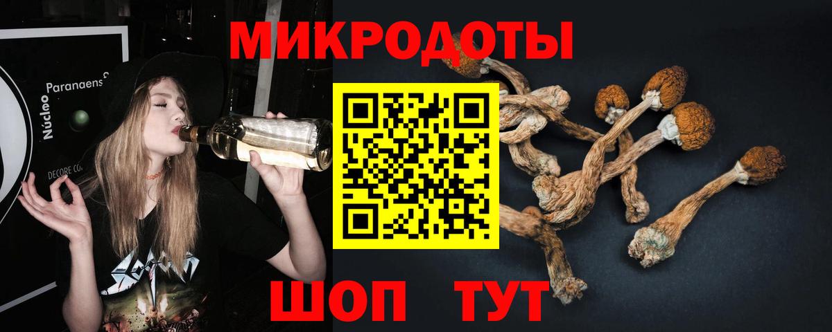 Карпинск  Псилоцибиновые грибы Psilocybe  Вход с VPN 